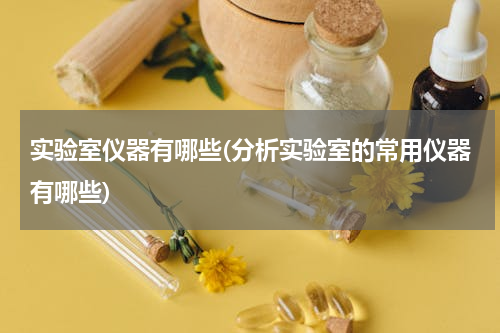 实验室仪器有哪些(分析实验室的常用仪器有哪些)