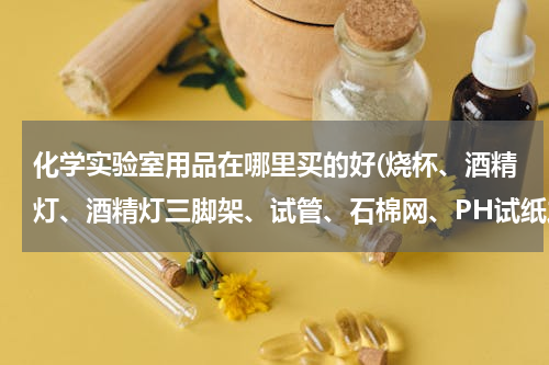 化学实验室用品在哪里买的好(烧杯、酒精灯、酒精灯三脚架、试管、石棉网、PH试纸之类的化学实验用具哪有卖的)