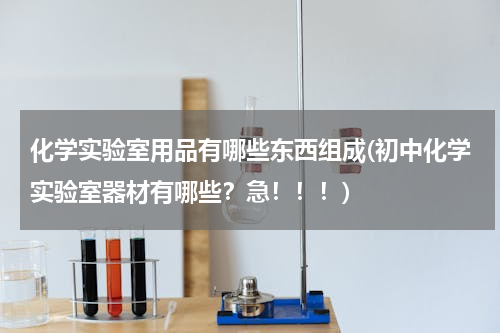 化学实验室用品有哪些东西组成(初中化学实验室器材有哪些？急！！！)