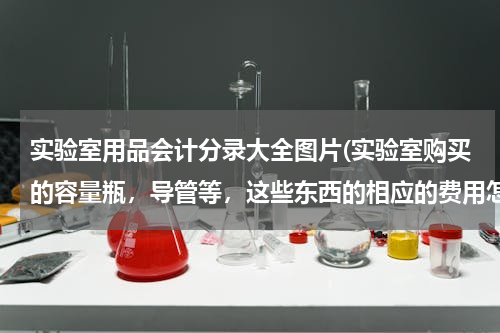 实验室用品会计分录大全图片(实验室购买的容量瓶，导管等，这些东西的相应的费用怎么做分录)