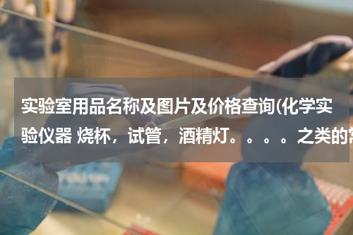 实验室用品名称及图片及价格查询(化学实验仪器 烧杯，试管，酒精灯。。。。之类的常见仪器 大约多少钱？)