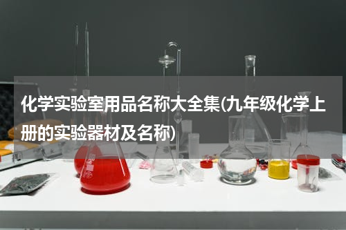 化学实验室用品名称大全集(九年级化学上册的实验器材及名称)