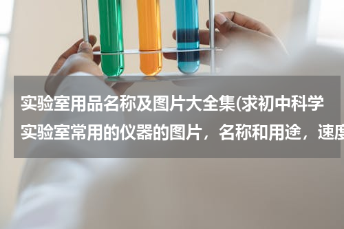 实验室用品名称及图片大全集(求初中科学实验室常用的仪器的图片，名称和用途，速度速度！！！)