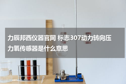 力辰邦西仪器官网 标志307动力转向压力氧传感器是什么意思