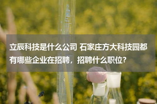 立辰科技是什么公司 石家庄方大科技园都有哪些企业在招聘，招聘什么职位？
