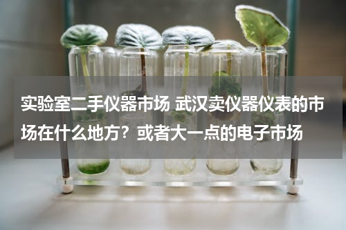 实验室二手仪器市场 武汉卖仪器仪表的市场在什么地方？或者大一点的电子市场