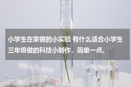 小学生在家做的小实验 有什么适合小学生三年级做的科技小制作，简单一点。