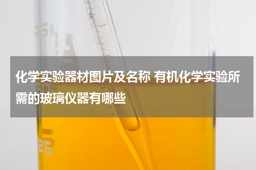 化学实验器材图片及名称 有机化学实验所需的玻璃仪器有哪些