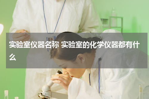 实验室仪器名称 实验室的化学仪器都有什么