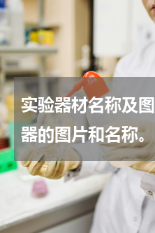 实验器材名称及图片 求化学实验里常用仪器的图片和名称。（差不多有30个）